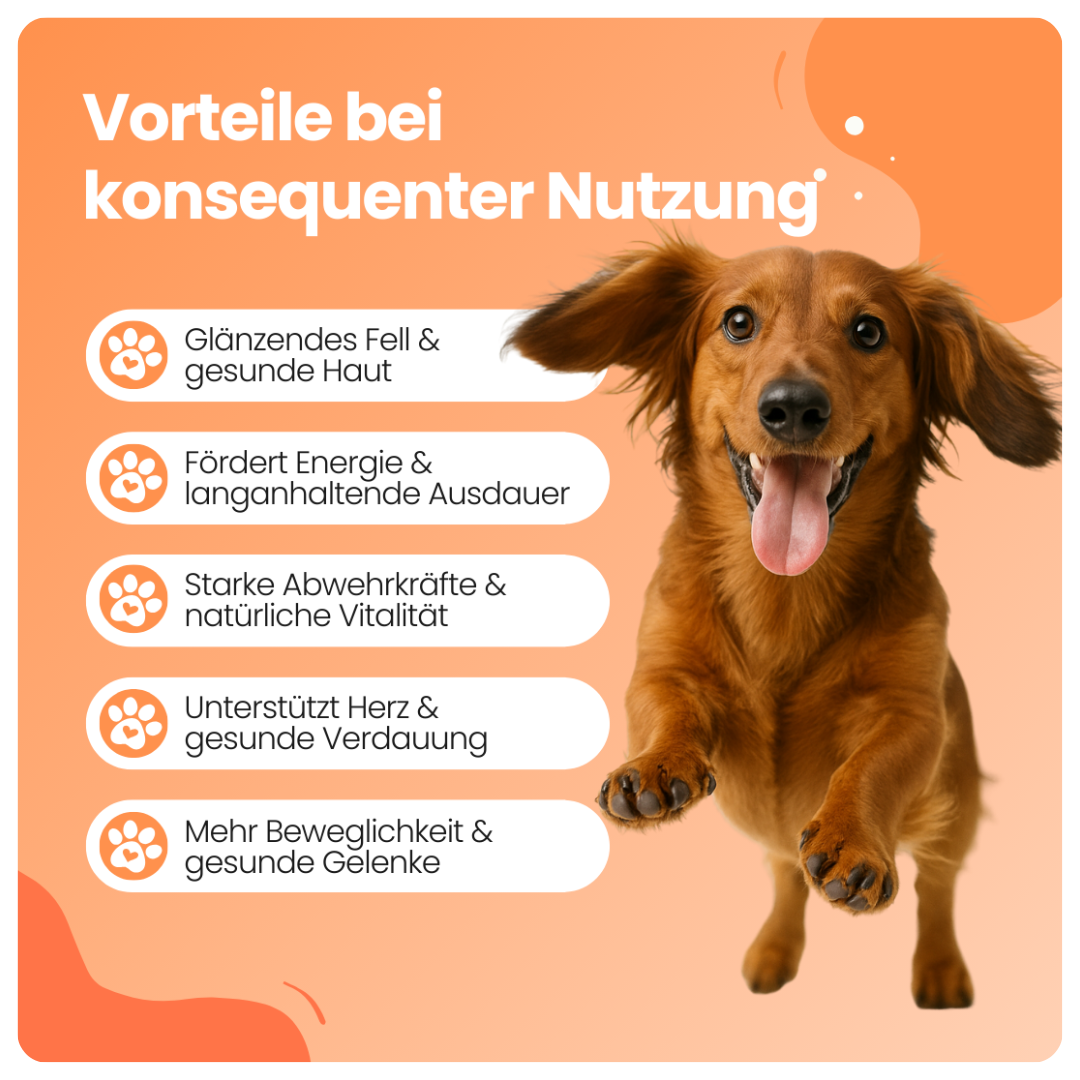 Pawelle 8-in-1 Multivitamin Bites
