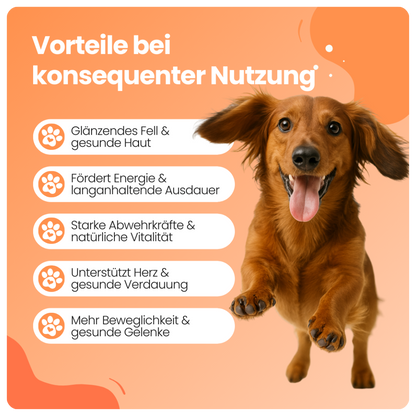 Pawelle 8-in-1 Multivitamin Bites
